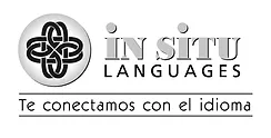 In Situ Languages